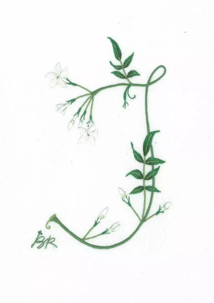J - Alphabet Botanique by Bénédicte Réveilhac