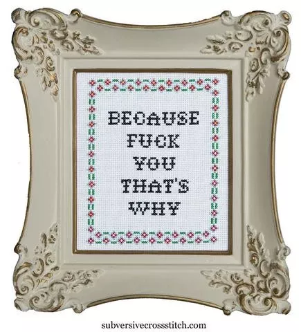 Subversive Cross Stitch-- Cross Stitch Kit-- Because Fuck You That's Why